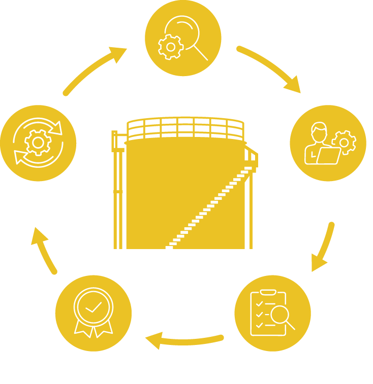 One life cycle